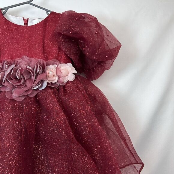 Pink Girls Couture Burgundy Glitter floral embellished Holiday Party Dress NWT 3 - Picture 2 of 15